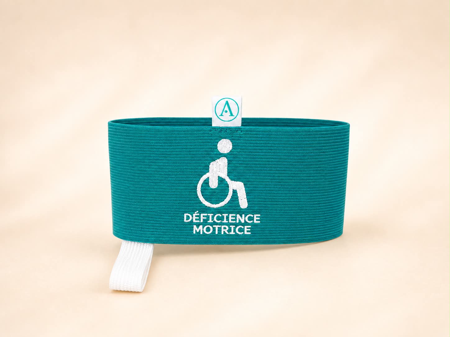 Déficience Motrice