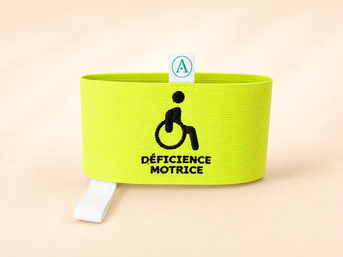 Déficience Motrice